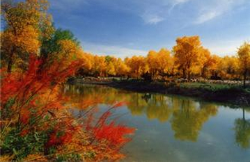 廣州到阿拉善盟物流專線,廣州到阿拉善盟貨運(yùn)公司