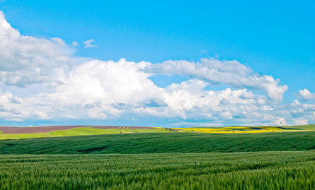 廣州到呼倫貝爾物流專線,廣州到呼倫貝爾貨運(yùn)公司